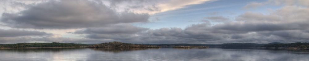 User banner image